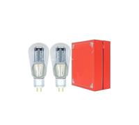 E-2A3 E2A3 actualización de Tubo WE2A3 2A3C 2A3B 2A3 2A3T Amplificador for Audio HiFi Paquete DIY(2pcs Matched Pair)