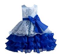E-girl Vestido de niña de flores princesa festivo para niños niñas vestido sin mangas de tul cuello redondo Broderie vestido de línea A vestido de fiesta vestido de noche, 3-10 años, D939, azul, 4-5
