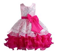 E-girl Vestido de niña de flores princesa festivo para niños niñas vestido sin mangas de tul cuello redondo Broderie vestido de línea A vestido de fiesta vestido de noche, 3-10 años, D939, Rosa., 4-5