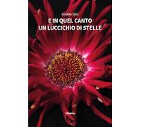 E in quel canto un luccichio (Nuove voci. Strade)