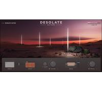 e-instruments Desolate Guitars