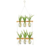 E-ROOM TREND Macetas de pared para plantas de interior, estaciones de propagación con soporte de madera de 2 niveles, jarrones de cristal, jarrones de propagación para plantas, terrario, regalos para