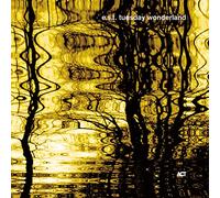 E.S.T.-Esbjörn Svensson Trio - Tuesday Wonderland