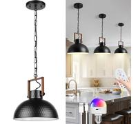 E27 Lámpara de Techo con Mando a Distáncia RGB Regulable Lámpara Colgante con Batería Recargable Iluminación de Techo Metal Lámpara Retro Luz de Techo Interior para Dormitorio Comedor Sala de Estar
