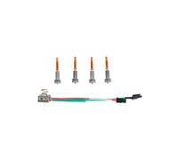 E3D Revo High Temp Hotside - PT100 - Kit completamente cargado