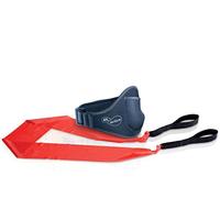 Ea Sports Active Accessory Pac [DVD de Audio]