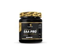 EAA PRO Amino Plus 420g - Sabor Naranja Nutri Pro Sport