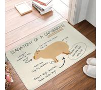 EAEQKOUC 3D 3D Anatomy of a Capybara Anti-Slip Doormat Floor Mat Absorbent Mat Carpet Rug for Kitchen Entrance Home Bedroom Footpad Mats-60x90cm