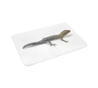 EAEQKOUC 3D 3D The Jewelled Gecko Non-Slip Doormat Floor Mat Dust-proo Carpet Rug for Kitchen Entrance Home Balcony Footpad Mats-60x90cm