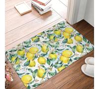 EAEQKOUC 3D Tropical Fruit Summer Lemon Front Door Mat Anti-Slip Indoor Quick Dry Doormat Kitchen Balcony Entrance Rug Carpet-40x60cm