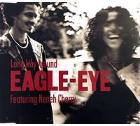Eagle Eye Cherry - Long Way Around