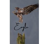 Eagle: Wide-ruled, lined paper diary or seasonal notebook with a soft pink cover that is empty inside. It has 120 pages and is 6" x 9" in size.