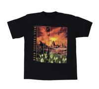 Eagles Hell Freezes Over Tour 1995 Vintage Music T-Shirt Gift FOr FansBlackM