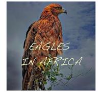 Eagles in Africa (Wall Calendar 2026 12" x 24" / 30 x 60 cm (abierto)) CALVENDO 12 Month Wall Calendar: The Eagle is considered the king of the sky (CALVENDO Places)