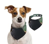 Eagles In The Rainforest - Bandanas para perro, suaves, cómodas, ajuste ajustable para niños y niñas, tres tamaños para gatos y perros