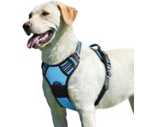 Eagloo Arnes Perro Grande Mediano, Arnes Antitirones Perro Antiescape, Chaleco Acolchado Ajustable, Anillos de Pecho y Espalda, Transpirable con Cinta Reflectante, Ejercer Correr, L Azul Ligero