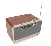 EALRIDV Diseño de Madera Embarazada, Retro, Altavoz estéreo, bajo Profundo con Oficina, Sala de Estar, Uso Personal o atmósfera Musical cálida