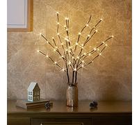 Eambrite 3 Juegos Ramas de Luz 60 LED 76cm Rama Marrón Luz Blanca Cálida Interior y Exterior, Resistente al Agua, Decoración para Halloween, Vida diaria, Navidad, Pascua