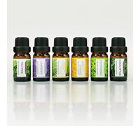 Earnest Living Juego de aceites esenciales de árbol de té y menta y lavanda para difusores de aceite para el hogar, aceites esenciales de eucalipto