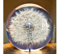 Earnmore Pisapapeles de Diente de león, una Bola de sueños. Bola de los Deseos de Cristal. Pisapapeles único de Diente de león (7 cm de diámetro).