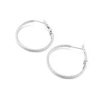 Earrings Hoops Women,Stainless Steel Hoop Earring for Women Earrings 31MM Circle Womens Earring Rose
