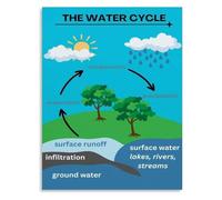 Earth Water Cycle Poster Ecosystem Function Science Reference