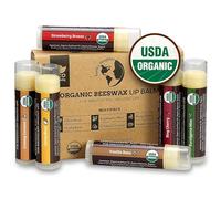 Earth's Daughter USDA Organic Lip Balm 6-Pack por - sabores de frutas, cera de abejas, aceite de coco, vitamina E - Mejor Chapstick Lip reparación para los labios secos y agrietados.