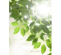 Earth's Embrace: A Journal of Nature’s Light and Connection