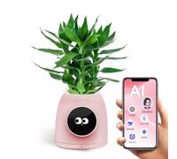 Easebloom Maceta AI, Gen1: tu compañero en el escritorio Una maceta inteligente para la hidroponía que soporta ChatGPT y Gemini LLM y se integra con Tuya Smart