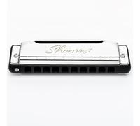 EAST TOP Armónica Blues mejorada clave de D, órgano de boca profesional, 10 agujeros, 20 tonos, armónica diatónica Shonrry T009 2.0 para jugadores de todos los niveles