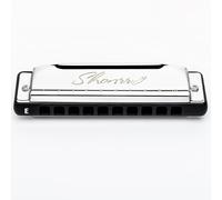 EAST TOP Armónica Blues mejorada clave de E, órgano de boca profesional, 10 agujeros, 20 tonos, armónica diatónica Shonrry T009 2.0 para jugadores de todos los niveles