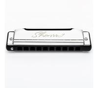 EAST TOP Armónica Blues mejorada clave de G, órgano de boca profesional, 10 agujeros, 20 tonos, armónica diatónica Shonrry T009 2.0 para jugadores de todos los niveles