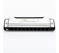 EAST TOP Armónica Blues mejorada Key of Bb, órgano de boca profesional, 10 agujeros, 20 tonos, T009 2.0, armónica diatónica Shonrry para jugadores de todos los niveles