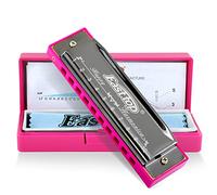 East top Blues Harmonica, diatónica con 10 agujeros en forma de C, órgano de boca para principiantes, niños, estudiantes, regalo, con funda de plástico de transporte, paño limpio y manual (idioma