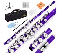 Eastar Flauta de 16 teclas con agujero cerrado para principiantes y estudiantes con tabla de dedos, kit de limpieza, soporte, funda, guantes, varilla de afinación, morado, EFL-1Pu