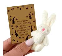 Easter Bunny Plush, Small Cartoon Bunny with Candy Card Funny Postcard, Cute Party Favors Kids, Teens, Girls, Family and Friends, Ideal for Easters, Birthdays, Valentine's Day
