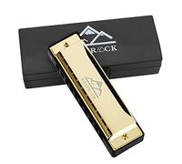 EastRock Armónica de 10 agujeros y 20 melodías, llave de órgano de boca C para principiantes, adultos, niños, regalo con estuche y paño de limpieza (dorado)