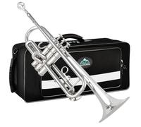 EASTROCK Trompeta Bb de latón estándar con carcasa dura, guantes, tela, boquilla 7C, instrumentos musicales para principiantes o experimentados, adultos