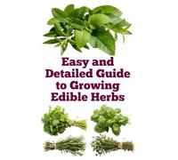 Easy and Detailed Guide to Growing Edible Herbs (A Detailed, Informative Series on Homesteading)