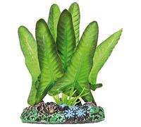 Easy-Life Aquatic Plants AP1154 Planta de Seda Syngonium para Acuarios, 20 Cm