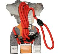 Easy walk Correas Básicas Para Perros Fácil Caminata De Mano Modelo Rojo