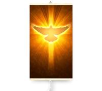 Easyheater Radiador Eléctrico Bajo Consumo 430W - Calefactor Eléctrico Infrarrojo Mural Diseño del Espíritu Santo - Estufa Eléctrica de Bajo Consumo y Radiador Plano para Espacios de hasta 12 m2