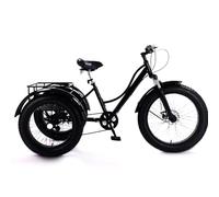 EaThsalL Genérico Triciclos De Llantas Anchas For Adultos Capacidad de Carga de 200 kg Cuadro Acero Al Carbono, Cuadro Acero Al Carbono For Ejercicio Y Mujeres Black