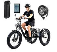 EaThsalL Triciclo Electrico Adulto 3 Ruedas 24 Pulgadas 7 Velocidades Anchos para Ciclistas de 200 kg para Adultos de Alta Resistencia con Canasta de Gran Capacidad Black-NoSeat