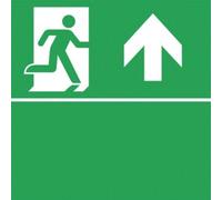 Eaton Bendición Skopos Pictograma Iluminación de Emergencia - 174-001-053