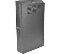 Eaton Tripp Lite SmartRack 4U de Perfil Bajo, Profundidad de Servidor, Gabinete de Rack Montado en la Pared (Negro) (SRWF4U36)