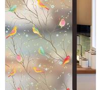 Eawfgtuw Película opaca para ventana de pájaro esmerilado no adhesivo para privacidad y vidrio decorativo, 40 x 100 cm, cubierta de PVC con adherencia electrostática (pájaro esmerilado puro)