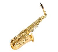 Eb Saxofón Alto Latón E Flat Sax 875EX Tipo De Llave Instrumento De Viento De Madera Saxofón profesional (Color : 03)