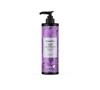 Ebers Champú Antiencrespamiento 250 ml