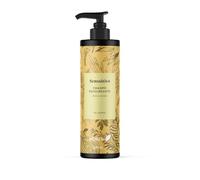 Ebers Champú Equilibrante 250ml